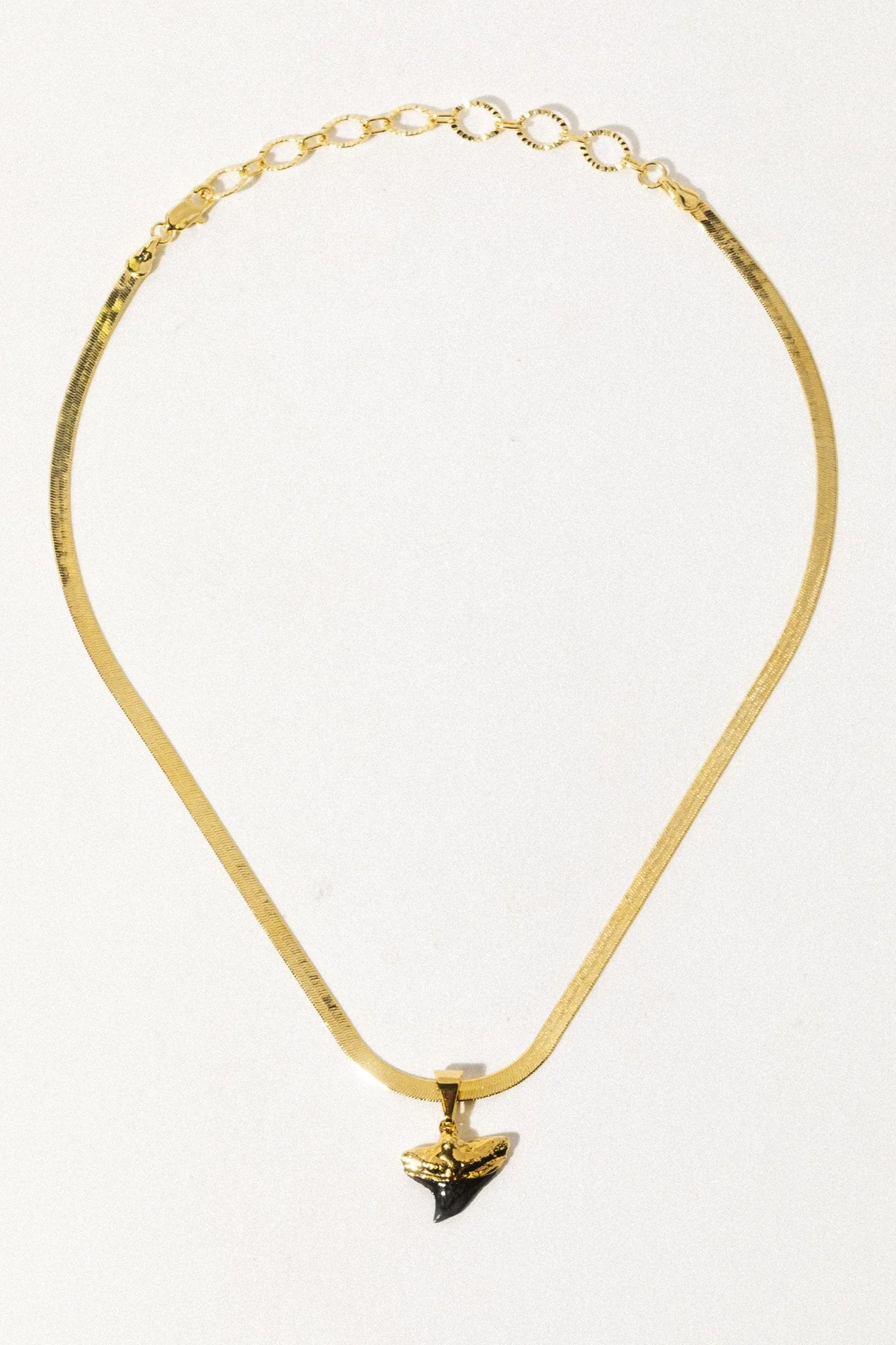 Elegant Golden Charm Necklace
